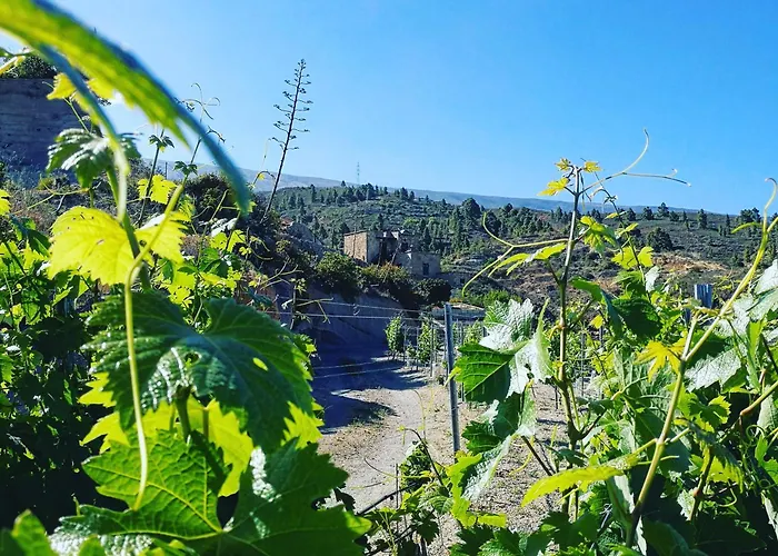Vigas Landsted Arico Viejo